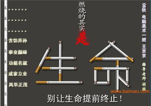 瀏陽市平面設計與軟件開發 融合創意與科技，打造品牌新動力